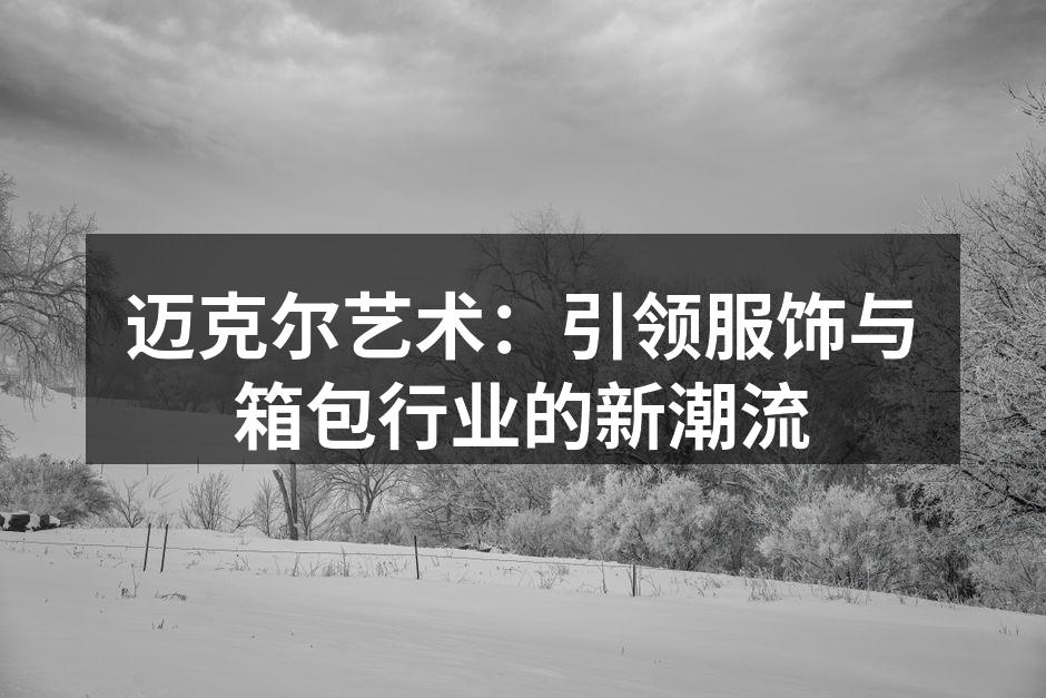 迈克尔艺术新款背包，时尚与功能兼备