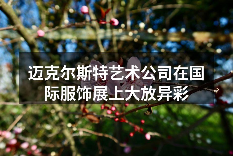 迈克尔斯特艺术展位全景